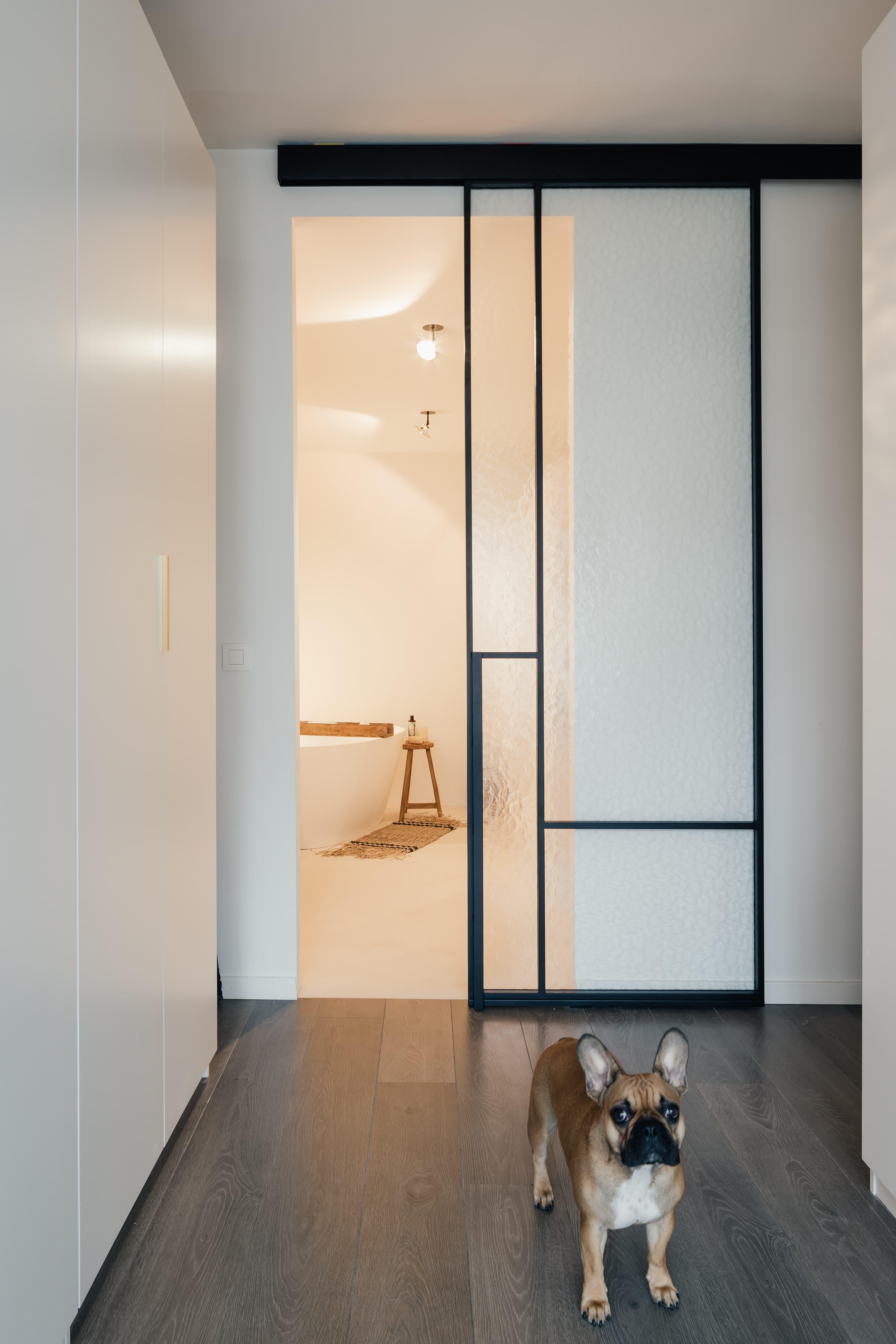 Proyecto Amberes project image